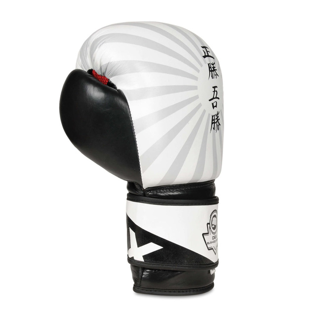 JAPAN BUSHIDO SPARRING BOXING GLOVES B-2v8 10oz