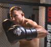 Boxing Gloves 12oz - Eclipse - Origin Series