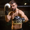 Boxing Gloves 10oz - Harmony - Valor Series