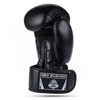 Boxing Gloves 10oz - Classic Black - Origin Series