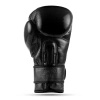 Warrior BLACK boxing gloves DBX BUSHIDO