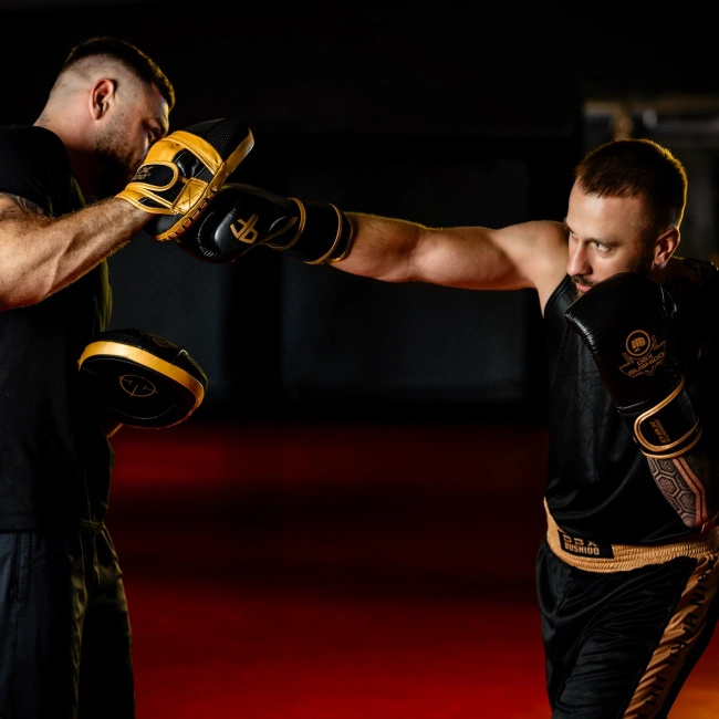 Focus Mitts made of Genuine Leather | ProFighter | 2 pieces