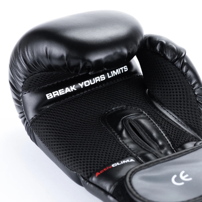 Training Boxing Gloves - Sparring - DBX-B-2v9 - 14 oz