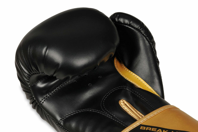Boxing and sparring gloves B-2v10 8 oz