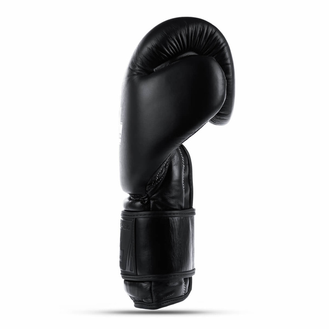 B-ProFight-12oz gloves