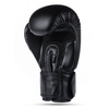 Boxing Gloves 12oz - Classic Black - Origin Series