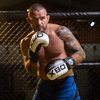 Boxing Gloves 10oz - Harmony - Valor Series
