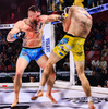 E1V3 DBX BUSHIDO XL MMA gloves