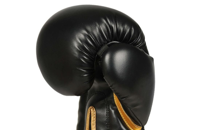 Boxing and sparring gloves B-2v10 8 oz