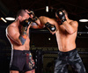 ARM-2011d MMA gloves DBX BUSHIDO L