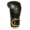 Multi-layer Boxing Gloves - ProFighter Gold - Legacy Series