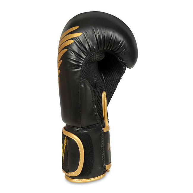 Sparring boxing gloves "HAWK" B-2v17 Active Clima 16 oz