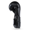 Boxing Gloves 12oz - Eclipse - Origin Series