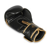 Boxing gloves made of natural leather B-2v13 10 oz