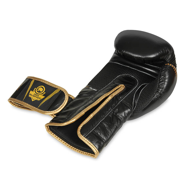 Boxing gloves made of natural leather B-2v13 10 oz