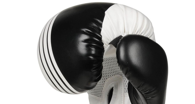 Boxing Gloves 10oz - Edge - Valor Series