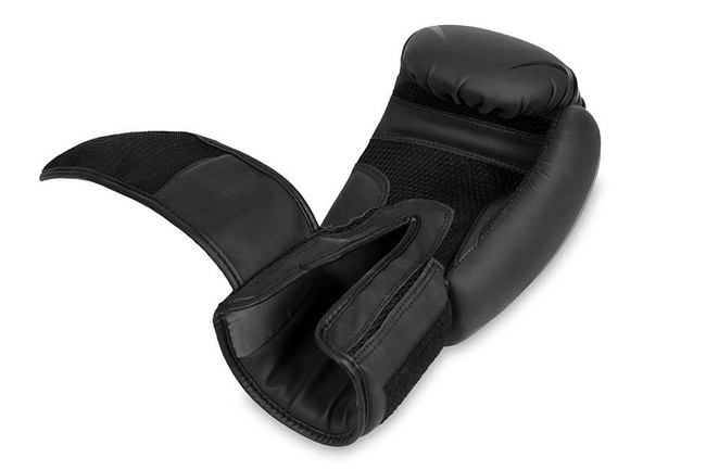Raptor sparring boxing gloves - B-2v22 14 oz