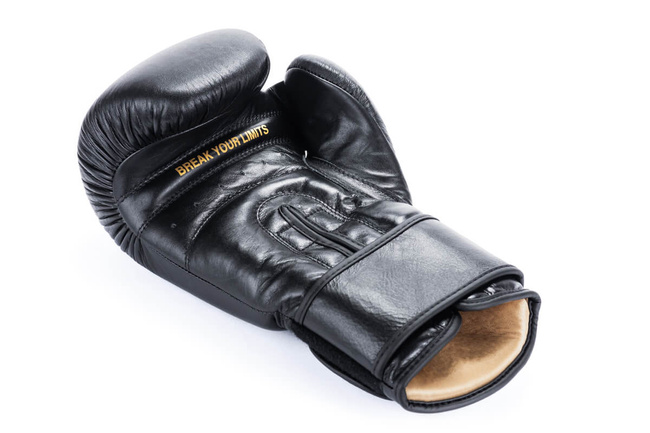 Striker Gloves - 10 oz