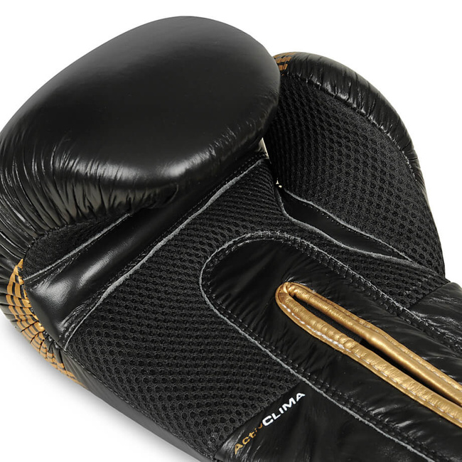 Boxing Gloves 12oz - Aureos - Valor Series