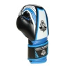 Boxing Gloves for Kids 6oz - Junior Blue