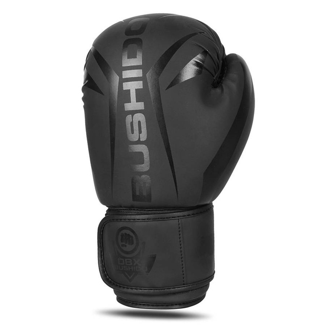 Boxing Gloves 12oz - Raptor - Origin Series