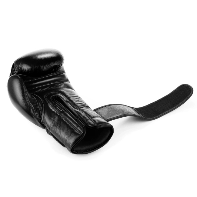 Warrior BLACK boxing gloves DBX BUSHIDO