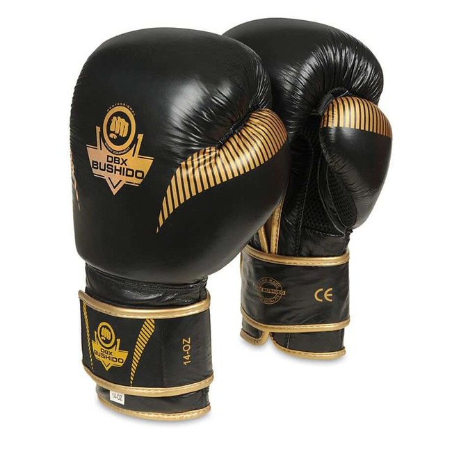 Boxing Gloves 10oz - Aureos - Valor Series