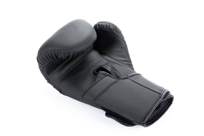 Boxing Gloves 10oz - Hammer Black - Valor Series