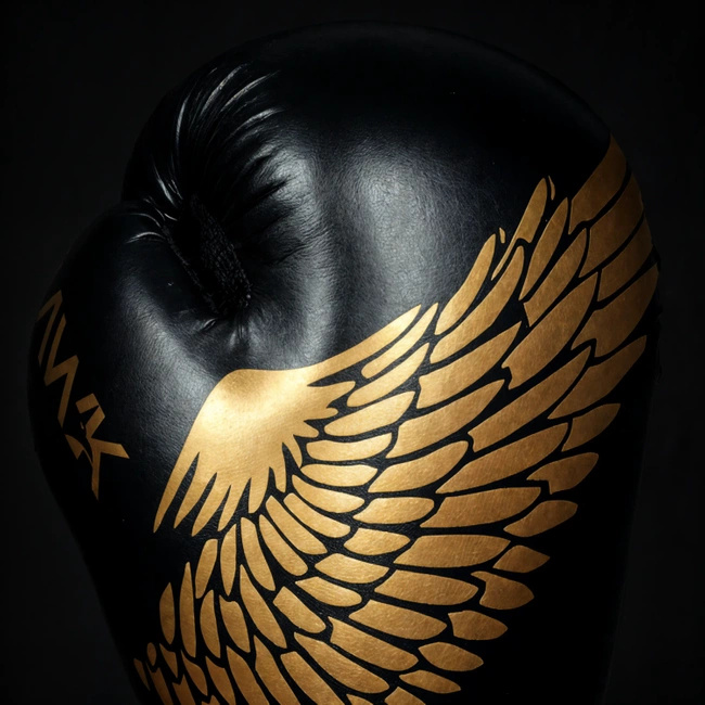 Sparring boxing gloves "HAWK" B-2v17 Active Clima 16 oz