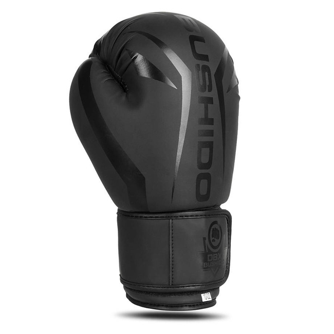 Boxing Gloves 12oz - Raptor - Origin Series