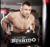 SANDBAG BUSHIDO, SAND BAG, CROSSTRAINING, FITNESS 35 KG