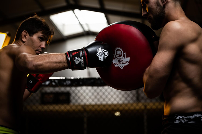 Boxing Gloves 10oz - Classic Red - Origin Series