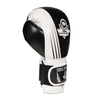 Boxing Gloves 10oz - Edge - Valor Series