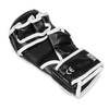 Master MMA gloves DBX BUSHIDO L