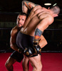 ARM-2011d MMA gloves DBX BUSHIDO L