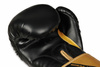 Boxing and sparring gloves B-2v10 8 oz