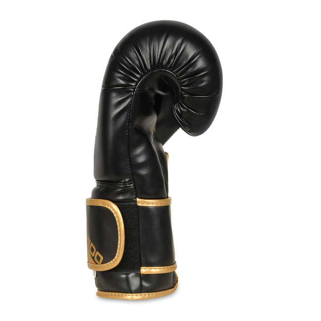 Boxing and sparring gloves B-2v10 8 oz