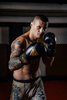 Boxing Gloves 10oz - Taver Gold - Origin Series