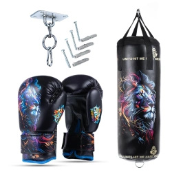 Leon Set – Punching Bag + Gloves – 65 cm / 8 kg | DBX
