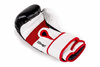 BUSHIDO SPARRING BOXING GLOVES 14oz B-2v3