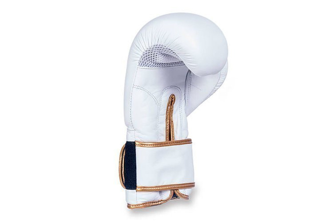 LEATHER BOXING GLOVES - BUSHIDO - WHITE 10 OZ Model: DBD-B-2