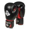 BUSHIDO SPARRING BOXING GLOVES 12 OZ Model ARB-407