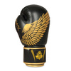 Sparring boxing gloves "HAWK" B-2v17 Active Clima 10 oz