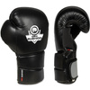 Training Boxing Gloves - Sparring - DBX-B-2v9 - 10 oz