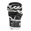 Master MMA gloves DBX BUSHIDO L