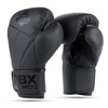 Boxing Gloves 12oz - Hammer Black - Valor Series