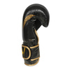 Boxing Gloves 10oz - Aureos - Valor Series