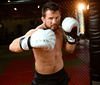 Boxing Gloves 10oz - Japan - Valor Series