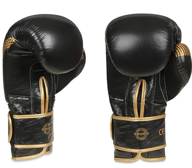 Boxing gloves made of natural leather B-2v13 10 oz