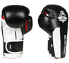 Boxing Gloves 12oz - Phantom White - Valor Series